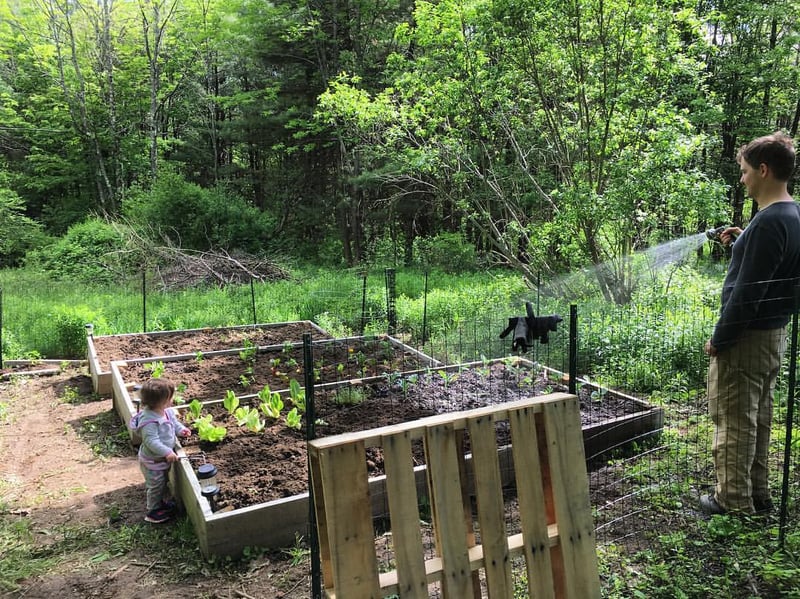 Allen Family Backyard Garden during Year 2